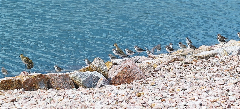 It&rsquo;s time for autumn birding