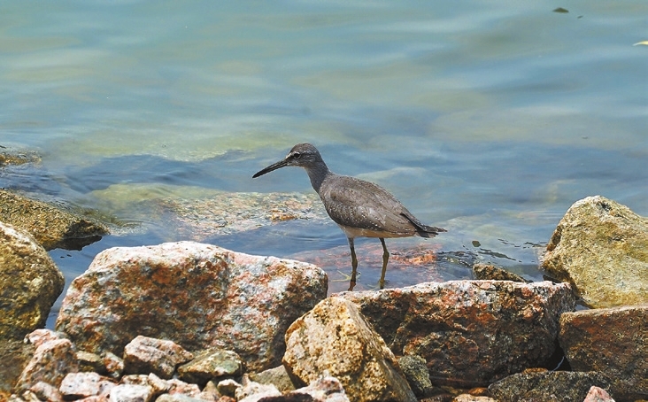 It&rsquo;s time for autumn birding