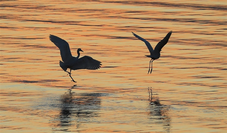 It&rsquo;s time for autumn birding