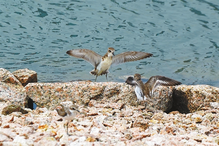 It&rsquo;s time for autumn birding