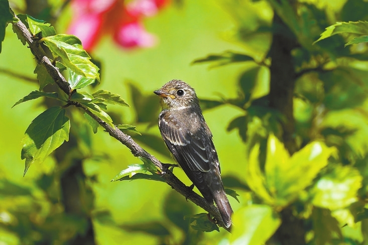 It&rsquo;s time for autumn birding