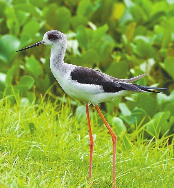 It&rsquo;s time for autumn birding