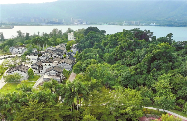 Mangrove wetland park arouses interest